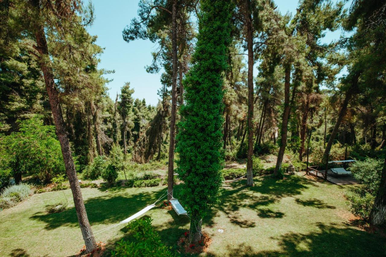 Beautiful Summerhouse In Sani'S Pine Forest Sani  Exterior foto