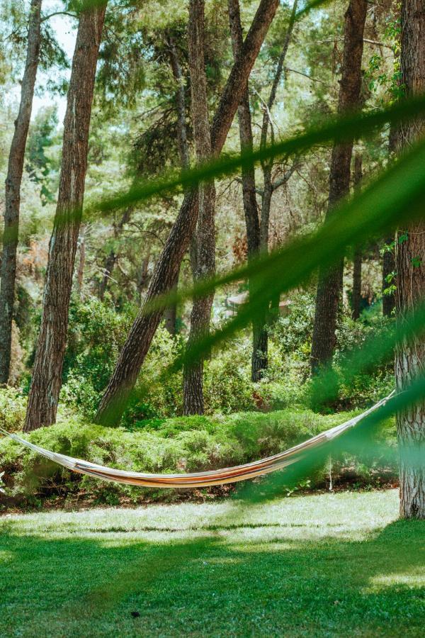Beautiful Summerhouse In Sani'S Pine Forest Sani  Exterior foto